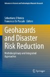 Geohazards and Disaster Risk Reduction