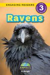 Ravens