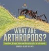 What are Arthropods? Functions, Groups, Roles and Characteristics of Arthropods | Grade 6-8 Life Science