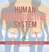 Human Reproductive System | How the Male and Female Reproductive System Works | Grade 6-8 Life Science