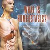 What is Homeostasis? How Human Body Organs Function | Levels of Organization | Grade 6-8 Life Science