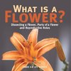 What is a Flower? Dissecting a Flower, Parts of a Flower and Reproductive Roles | Grade 6-8 Life Science