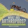 What are Arthropods? Functions, Groups, Roles and Characteristics of Arthropods | Grade 6-8 Life Science