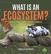 What is an Ecosystem? Biotic Factors, Abiotic Factors, Habitats and Niches Explained | Grade 6-8 Life Science