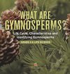 What are Gymnosperms? Life Cycle, Characteristics and Identifying Gymnosperms | Grade 6-8 Life Science