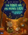 Ein Funke nur, ein kleines Licht - Eine Geschichte über Liebe und Mut