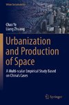 Urbanization and Production of Space