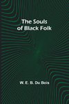 The Souls of Black Folk