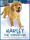 Harley the Snowdiver