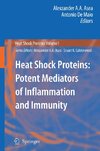 Heat Shock Proteins: Potent Mediators of Inflammation and Immunity