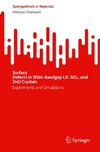 Surface DefectsinWide-BandgapLiF,SiO2,and ZnOCrystals