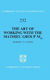 The Art of Working with the Mathieu Group M24