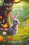 Little Bunny's Adventures