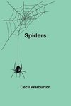 Spiders