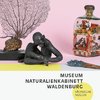 Museum Naturalienkabinett Waldenburg