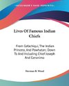 Lives Of Famous Indian Chiefs