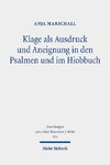 Klage als Ausdruck und Aneignung in den Psalmen und im Hiobbuch