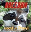 Raccoon Needs a Friend