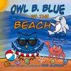 Owl B. Blue at the Beach