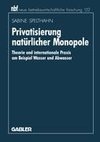 Privatisierung natürlicher Monopole