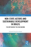 Non-State Actors and Sustainable Development in Brazil