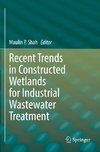 Recent Trends in Constructed Wetlands for Industrial Wastewater Treatment