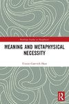 Meaning and Metaphysical Necessity