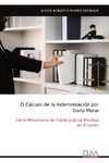 El Cálculo de la Indemnización por  Daño Moral