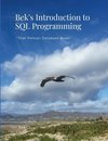 Bek's Introduction to SQL Programming