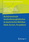 Multidimensionale Geschlechterungleichheiten im akademischen Mittelbau: Arbeit, Karriere, Perspektiven