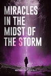 Miracles in the Midst of the Storm