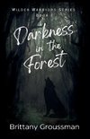 Darkness in the Forest