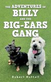 The adventures of Billy and the Big-ears gang