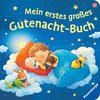 Mein erstes großes Gutenacht-Buch - Gutenachtgeschichten für Kinder ab 1 Jahr