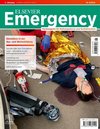 ELSEVIER Emergency. Simulation in der Aus- und Weiterbildung. 6/2024: Fachmagazin für Rettungsdienst und Notfallmedizin