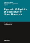 Algebraic Multiplicity of Eigenvalues of Linear Operators