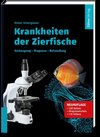 Krankheiten der Zierfische