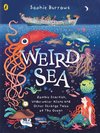 Weird Sea