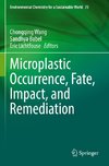 Microplastic Occurrence, Fate, Impact, and Remediation