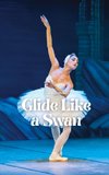 Glide Like a Swan