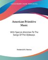 American Primitive Music