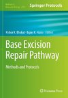 Base Excision Repair Pathway