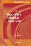 Shock Wave Reflection Phenomena