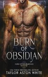 Burn of Obsidian