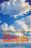 Fascinating Biographies of Clouds