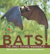 BATS! The Only Flying Mammals | Bats for Kids | Children's Mammal Books