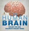 The Human Brain - Biology for Kids | Children's Biology Books