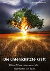 Die unterschätzte Kraft