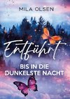 Entführt - Bis in die dunkelste Nacht (Louisa und Brendan, Band 2)