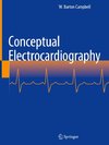 Conceptual Electrocardiography